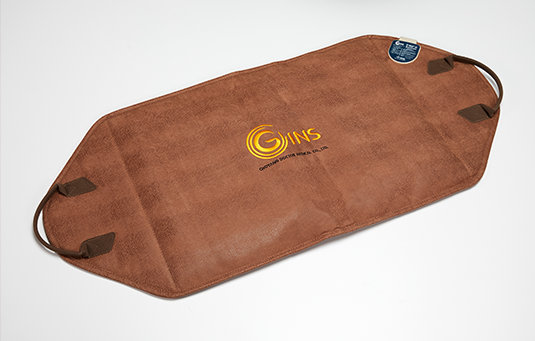 gins-ex1